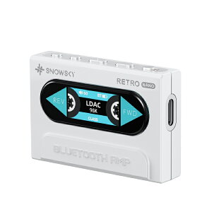 FIIO Snowsky RETRO NANO White wbhzAv Bluetooth CX oXڑ V[o[ tB[I