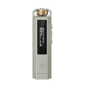 (8��7�������\��) FIIO Snowsky ECHO NANO Titanium Gold FIO-SSENANO-G �I�[�f�B�I�v���C���[ �~�j�}���f�U�C�� ���g�� 3.5mm 4�� microSD�J�[�h�X���b�g USB DAC�@�\ �t�B�[�I�y�O���[�vB�z