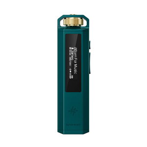 (8��7�������\��) FIIO Snowsky ECHO NANO Green FIO-SSENANO-GR �I�[�f�B�I�v���C���[ �~�j�}���f�U�C�� ���g�� ������ 3.5mm 4�� microSD�J�[�h�X���b�g USB DAC�@�\ �t�B�[�I�y�O���[�vB�z
