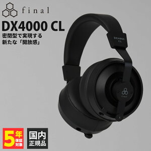 final DX4000 CL �L�� ���^ �I�o�[�C���[ 4.4mm 6.3mm ���E���P�[�u�� �V���o�[�R�[�g�P�[�u�� �_�C�i�~�b�N�^ �a�� �J�[�{�� �R���|�W�b�g�U���� �Ɍ��ᔽ���C���[�p�b�h �t�@�C�i��