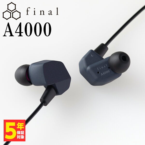 final A4000 【FI-A4DPLDN】 有線イヤホン リケーブル対応 カナル型 ダイナミックドライバー 【グループB】
