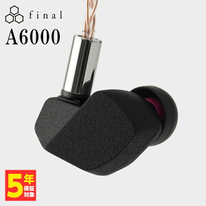 final A6000 L Cz Ji^ ^ VA| P[uΉ 2pin 3.5mm VOGh t@Ci (FI-A6DPLD)