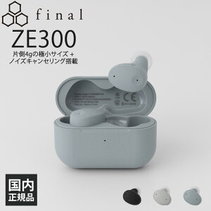 final ZE300 SKY GRAY SCXCz Cz  Bluetooth mCYLZO RpNg  h Qz ʘb t@Ciyz