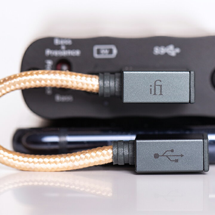楽天市場】iFi-Audio アイファイ オーディオ 90° Type-C OTG Cable (L 