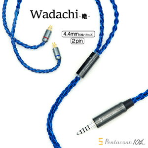 Pentaconn -Wadachi-(�Q) 4.4mm �_�C���N�g��߂��� OFC �v���O - 2Pin�yPRU01-44-2p�z �C���z���P�[�u�� ���P�[�u�� �L�O���f�� �o�����X�ڑ� PCUHD 4.4mm OFC�v���O �y���^�R��