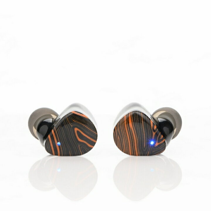 楽天市場】Noble Audio FoKus Triumph ノーブルオーディオ 完全 