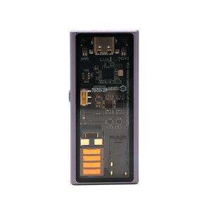 Questyle M15i �p�[�v�� ���ʃ`���[�j���O�� (EDM/J-POP�`���[�j���O) DAC DAC�A���v �|�[�^�u���A���v �X�e�B�b�N�^ �N�G�X�^�C�� 3.5mm 4.4mm �o�����X�ڑ� EDM J-POP �N�G�X�^�C��