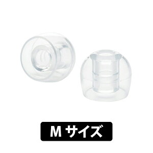 radius ディープマウントイヤーピース ZONE M ラディウス イヤーチップ イヤピ (HP-DME22CL)