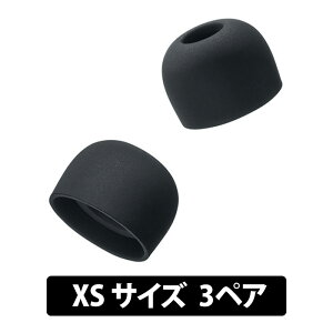 �y4/5���聚���I�ōő�100%�|�C���g�o�b�N�I(�v�G���g���[)�zradius �f�B�[�v�}�E���g�C���[�s�[�X for TWS XS�yHP-DME04K-TWS�z�C���[�s�[�X �C���[�`�b�v �������P ���������P ���i���V���R�� ����