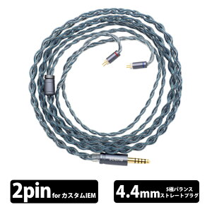 SGENE Ame 2Pin(CIEM)-4.4mm �yVGP2026 SUMMER ��܁z�C���z���P�[�u�� ���P�[�u�� 0.78mm 2pin 4.4mm5�� �o�����X�ڑ� �X�g���[�g�v���O �P������ �⃁�b�L���⍇�� �V�[��