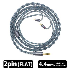 SGENE Ame 2Pin(FLAT)-4.4mm �yVGP2026 SUMMER ��܁z�C���z���P�[�u�� ���P�[�u�� 2pin Flat 4.4mm5�� �o�����X�ڑ� �X�g���[�g�v���O �P������ �⃁�b�L���⍇�� �n�C�u���b�h�\�� �V�[��