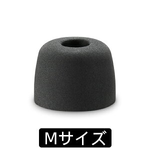 WF-1000XM5tC[s[X SONY \j[ EP-NI1010M (1yA) C[s[X C[`bv Cs