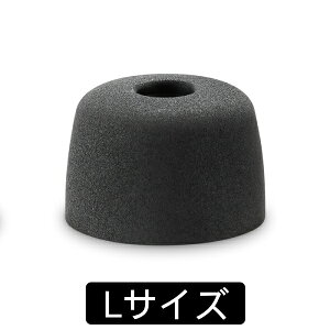 WF-1000XM5tC[s[X SONY \j[ EP-NI1010L (1yA) C[s[X C[`bv Cs