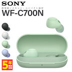 SONY ソニー WF-C700N GZ セージグリーン 完全ワイヤレスイヤホン ノイズキャンセリング Bluetooth イヤホン カナル型 コンパクト 小さい かわいい 通話 マイク付き ノイズキャンセル ノイキャン WFC700NGZ