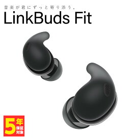 【12/15限定★抽選で最大100%ポイントバック！(要エントリー)】SONY LinkBuds Fit WF-LS910N ソニー ノイズキャンセリング 完全ワイヤレスイヤホン Bluetooth イヤホン ワイヤレス カナル型 ノイズキャンセル 小さい コンパクト LinkBudsFit リンクバッズフィット WFLS910N