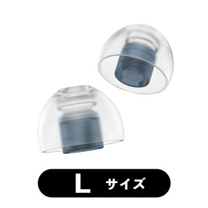 y|Cg10{Ly[I12/4 20:00~12/11 1:59(v\)zSpinFit SpinFit NEO L 1yA C[s[X C[`bv VR CzANZT XstBbg