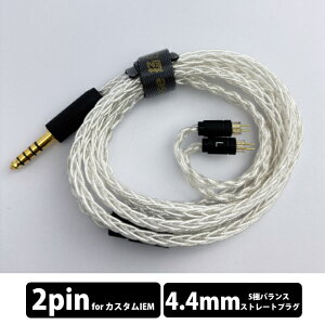 Yongse Ag8 max 4.4mm-2Pin �L���C���z�� �C���z���P�[�u�� �C���t�H�� �o�����X �X�g���[�g�^ ���P�[�u���Ή� ���� ��� �J�X�^�� 2Pin 4.4mm 5�Ƀo�����X�v���O �𑜓x �����Z�C