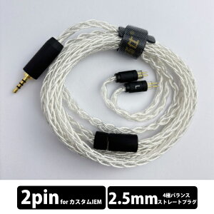 Yongse Ag8 max 2.5mm-2Pin �L���C���z�� �C���z���P�[�u�� �C���t�H�� �o�����X �X�g���[�g�^ ���P�[�u���Ή� ���� ��� �J�X�^�� 2Pin 2.5mm �o�����X�v���O �𑜓x �����Z�C