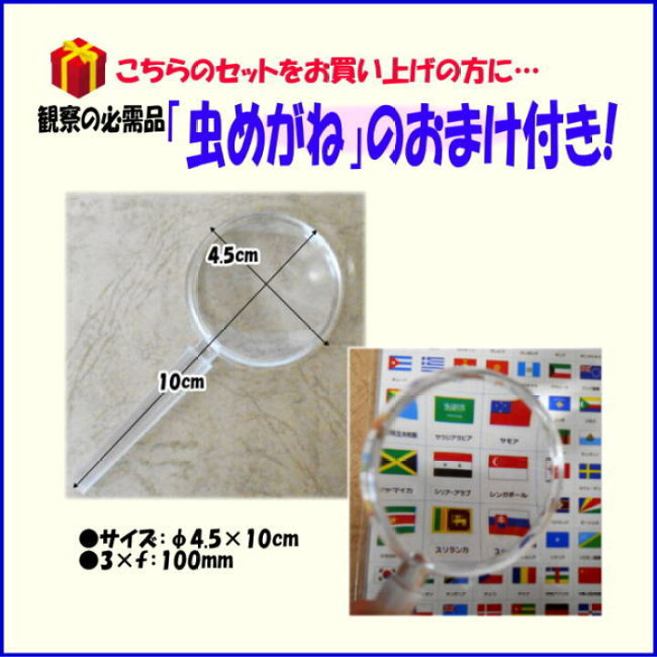 楽天市場 理科実験キット小学校6年生セットｃ 虫めがねのおまけ付き あす楽 電気の利用ハンディecoライト3 モーターカー部品 太陽電池小学生 夏休み 冬休み 自由研究 科学工作 小学生の文具 学用品販売店