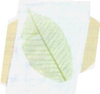 作品例