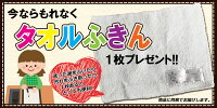 書道セットロイヤルクラウン罫線入り下敷き小学生男の子女の子向け習字セット【あす楽】