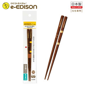 EDISON GW\̂y{[VR؂̂zGW\ g[jO Kp N100{ K Zp` M  HT|[g qpH Jg[ p  
