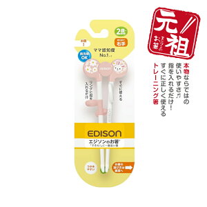 EDISON GW\̂IyEpzGW\ [] g[jO Kp N100{ K HT|[g qpH Jg[   ǂ͂ w ۈ牀