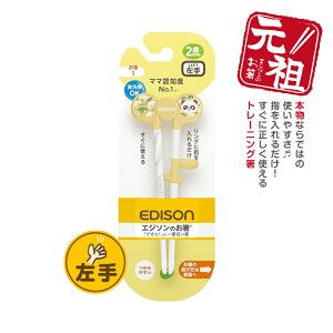 EDISON GW\̂IypzGW\ [ς]  g[jO Kp N100{ K HT|[g p qpH Jg[ ǂ͂ w ۈ牀