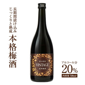 ~ 썂 VINTAGE 720ml AR[x20  ߂ EV 썂~ n a̎R BC