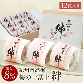 梅干し ギフト 梅の一冨士 絆 12粒入 南高梅 塩分8％ 一冨士 紀州南高梅 国産 贈答 個包装 和歌山県産 梅干 うめぼし 減塩 低塩分 グルメ