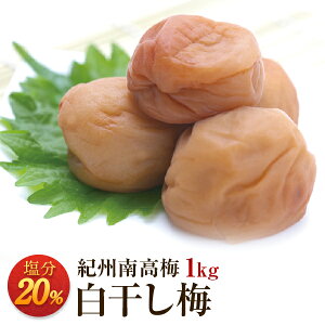 ~ ~ 20 1kg 񂹃O Yn a̎RY IB썂~ ~ ߂ڂ  Y  MǑ΍