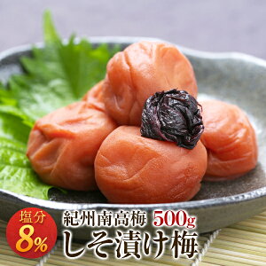 ~ Ђ~ 8 500g 񂹃O Yn a̎RY IB썂~ ~ ߂ڂ  h  MǑ΍