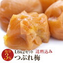 梅干し 訳あり 送料無料 はちみつ しそ 減塩つぶれ梅セット 塩分3％ 1.6kg（400g×4） 梅干 うめぼし 紀州南高梅 送料込み 産地直送 和歌山県産 ...