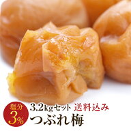 梅干し 訳あり 減塩つぶれ梅セット 塩分3％ 3.2kg(400g×8) 南高梅 減塩 はちみつ しそ 一冨士 紀州南高…