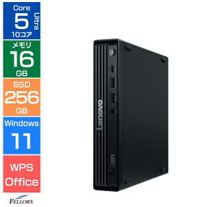 �y�G���g���[�Ń|�C���g5�{�z 16GB������ ��̂Ђ�T�C�Y �f�X�N�g�b�v�p�\�R�� �V�i Win11 Pro Core Ultra 5 225T 10�R�A Lenovo ThinkCentre M70q Tiny Gen6 13A5S00R00 256GB SSD �����\ NPU���� AI �ȃX�y�[�X �p�\�R
