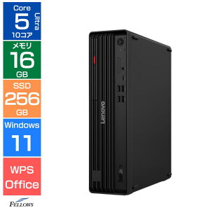 �y�G���g���[�Ń|�C���g5�{�z 16GB������ �f�X�N�g�b�v�p�\�R�� �V�i Win11 Pro Core Ultra5 225 10�R�A Lenovo ThinkCentre M70s Gen6 12YJS00H00 256GB SSD DVD �ȃX�y�[�X