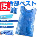 ★P5倍 マラソンセール！★冷却ベスト 水冷 クールベスト 2枚セット 冷感ベスト 空調服 物理冷却 熱中症 猛暑対策 冷却服 ひんやりグッズ 保冷 工事現場 工場内 屋外 スポーツ 冷感 涼しい 保冷服 農業 屋外作業 釣り 暑さ対策