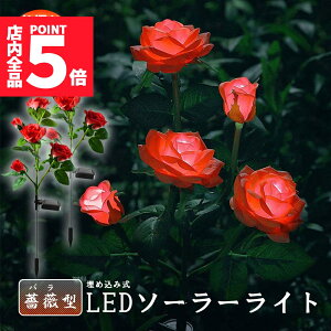 Ԍ|Cg5{O \[[Cg K[fCg 胉Cg 2Zbg ߍݎ h  ZT[ LEDK[fCg ԏ   Ő 5փ[YCg o K