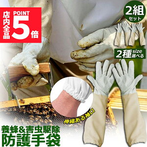 |Cg5{ }\Z[{Ip hO[u Ɨp _炩rv 2gZbg K[fjOO[u  v | t[TCY OO[u I Ȋ 쏜 Q쏜 