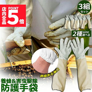 |Cg5{ }\Z[{Ip hO[u Ɨp _炩rv 3gZbg K[fjOO[u  v | t[TCY OO[u I Ȋ 쏜 Q쏜 