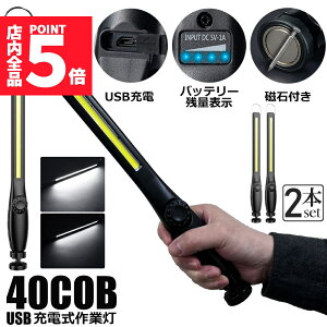 Ԍ|Cg5{Ɠ LED [NCg 2Zbg USB[d 450[ COBCg d 360°] tbN }Olbg Ct iKPx XCb` ً}pƖ dp ԏC