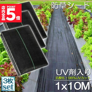 hV[g 10m X 1m 3Zbg V[g |pV[g GV[g UVܓ  _ ƒp |p  Gʐ  Y K[fjO ԏ ƒ؉ ϋvN3N lH G 