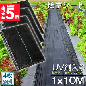 Ԍ|Cg5{hV[g 10m X 1m 4Zbg V[g |pV[g GV[g UVܓ  _ ƒp |p  Gʐ  Y K[fjO ԏ ƒ؉ ϋv