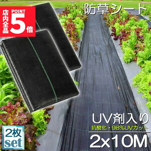 Ԍ|Cg5{hV[g 10m X 2m 2Zbg V[g |pV[g GV[g UVܓ  _ ƒp |p  Gʐ  Y K[fjO ԏ ƒ؉ ϋv