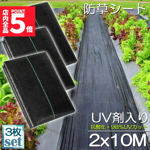 |Cg5{ }\Z[hV[g 10m X 2m 3Zbg V[g |pV[g GV[g UVܓ  _ ƒp |p  Gʐ  Y K[fjO ԏ ƒ