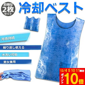 ★期間限定!ポイント5倍＆10倍★冷却ベスト 水冷 クールベスト 2枚セット 冷感ベスト 空調服 物理冷却 熱中症 猛暑対策 冷却服 ひんやりグッズ 保冷 工事現場 工場内 屋外 スポーツ 冷感 涼しい 保冷服 農業 屋外作業 釣り 暑さ