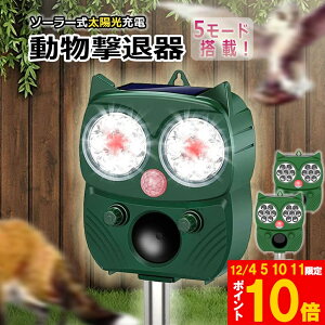 Ԍ!|Cg5{10{ފ Qbފ 2Zbg g tbVCg x L͈ ZT[ \[[ z USB[d h 5[h L  lY~  Qb 悯 ȒP 