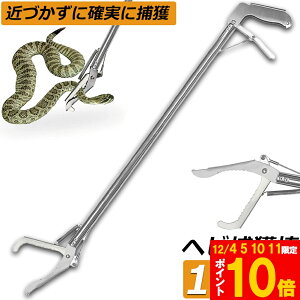 Ԍ!|Cg5{10{wrߊl_ wr ߊl  ܂肽 wrߊl gO  ւ nu ގ ߊl ߊl_ ΍  쏜 Aj}Lb`[ @ Xl[NLb`[