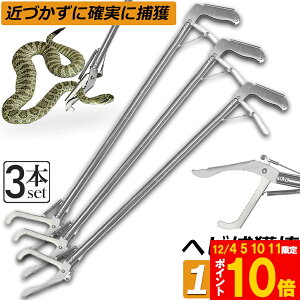 Ԍ!|Cg5{10{wrߊl_ 3{Zbg wr ߊl  ܂肽 wrߊl gO  ւ nu ގ ߊl ߊl_ ΍  쏜 Aj}Lb`[ @ Xl[NL