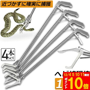 Ԍ!|Cg5{10{wrߊl_ 4{Zbg wr ߊl  ܂肽 wrߊl gO  ւ nu ގ ߊl ߊl_ ΍  쏜 Aj}Lb`[ @ Xl[NL